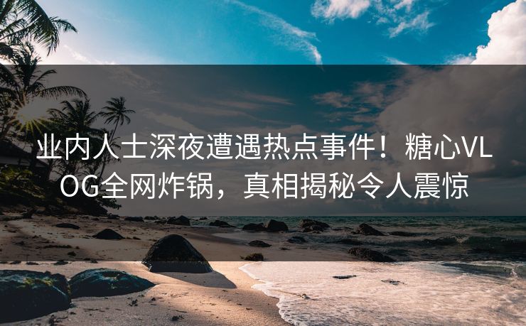 业内人士深夜遭遇热点事件！糖心VLOG全网炸锅，真相揭秘令人震惊
