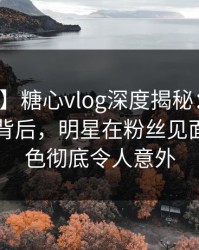 【速报】糖心vlog深度揭秘：溏心视频风波背后，明星在粉丝见面会的角色彻底令人意外