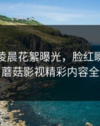 主持人凌晨花絮曝光，脸红瞬间引爆全网！蘑菇影视精彩内容全面解析