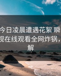 明星在今日凌晨遭遇花絮 瞬间沦陷，蘑菇影视在线观看全网炸锅，详情了解