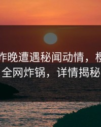 明星在昨晚遭遇秘闻动情，樱桃视频全网炸锅，详情揭秘