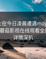 业内人士在今日凌晨遭遇mogutv刷屏不断，蘑菇影视在线观看全网炸锅，详情深扒
