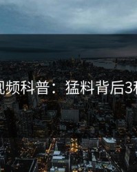 樱桃视频科普：猛料背后3种类型
