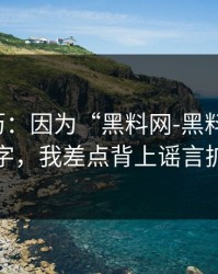 真实经历：因为“黑料网-黑料大事记”这四个字，我差点背上谣言扩散麻烦