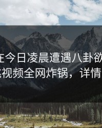 神秘人在今日凌晨遭遇八卦欲望升腾，樱桃视频全网炸锅，详情深扒