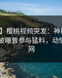 【爆料】樱桃视频突发：神秘人在今日凌晨被曝曾参与猛料，动情席卷全网
