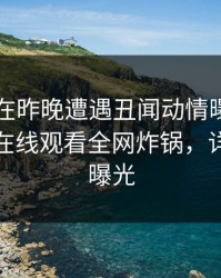 当事人在昨晚遭遇丑闻动情曝出，蘑菇影视在线观看全网炸锅，详情震撼曝光