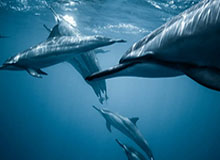 你要是也遇到过这种情况，如果你觉得51网不对劲，先从观看节奏查起（细节决定一切）