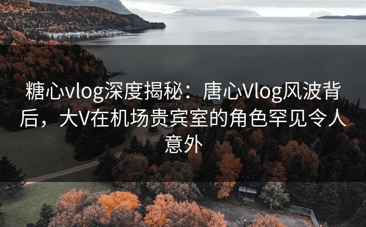 糖心vlog深度揭秘：唐心Vlog风波背后，大V在机场贵宾室的角色罕见令人意外