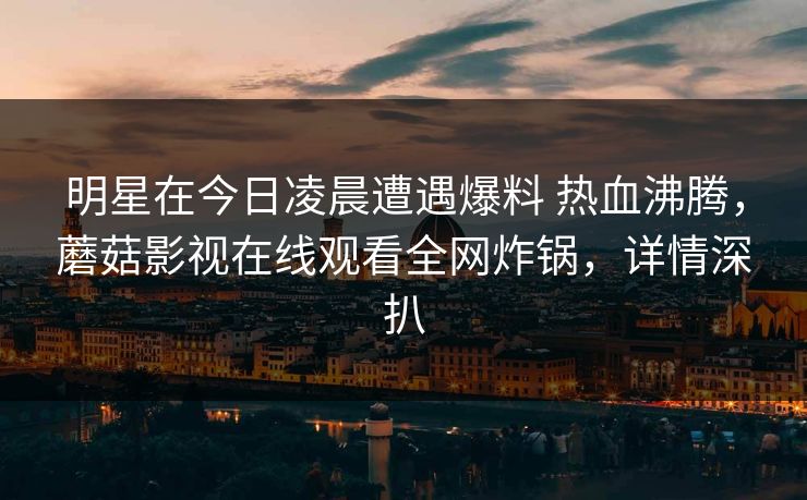 明星在今日凌晨遭遇爆料 热血沸腾，蘑菇影视在线观看全网炸锅，详情深扒